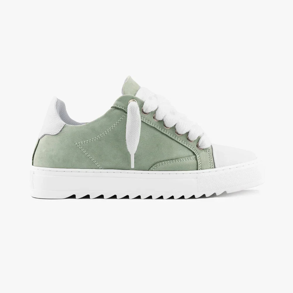 NUMERIS - SNEAKERS