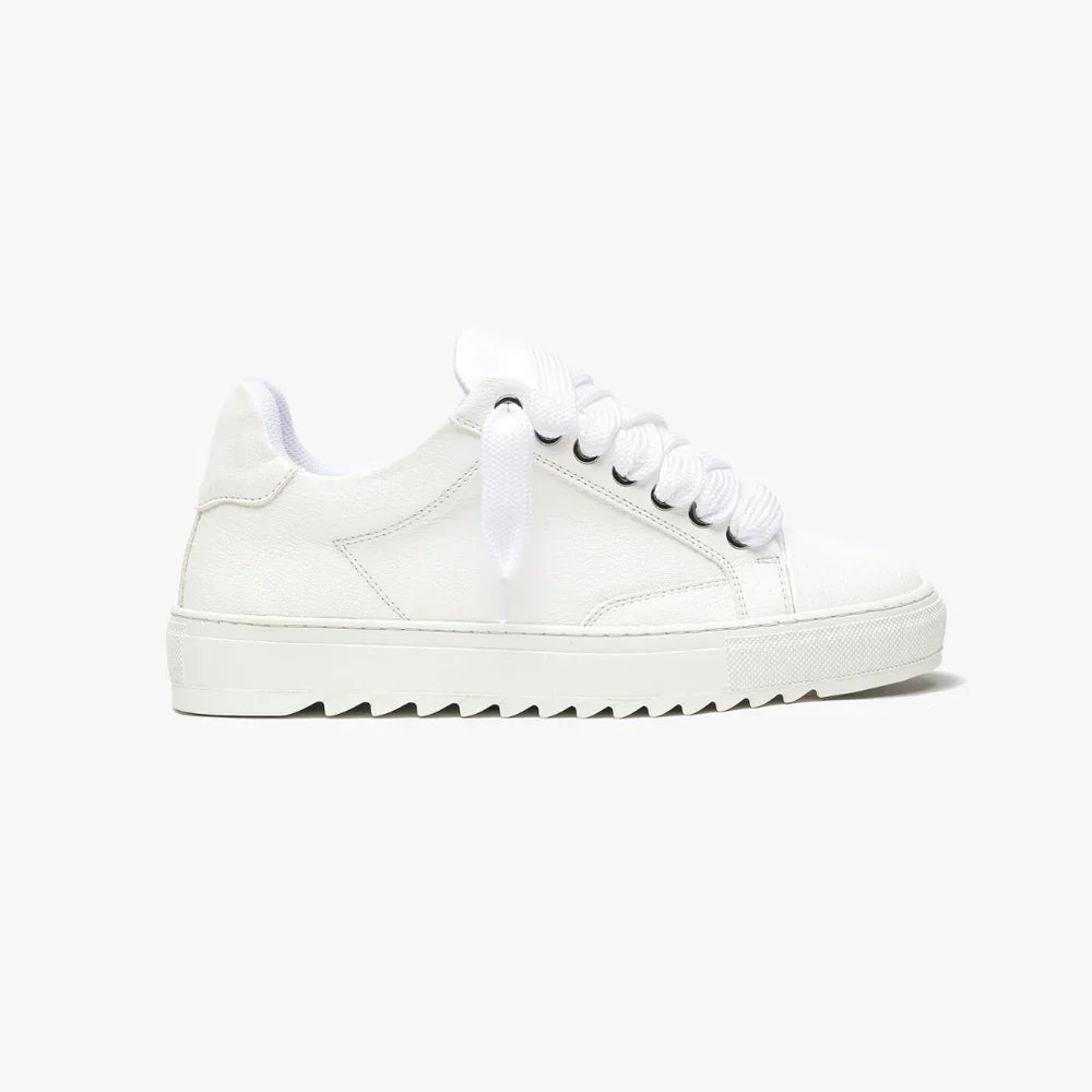 NUMERIS - SNEAKERS